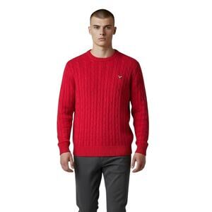 Duck Head Men's Cotton Crew Neck Cable Knit Sweater in Red Size Large